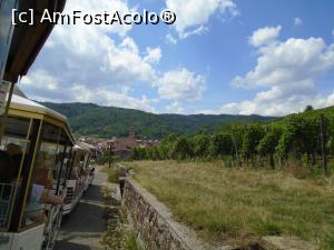 [P59] Cu trenulețul turistic prin vii » foto by Carmen Ion
 - 
<span class="allrVoted glyphicon glyphicon-heart hidden" id="av1131972"></span>
<a class="m-l-10 hidden" id="sv1131972" onclick="voting_Foto_DelVot(,1131972,2237)" role="button">șterge vot <span class="glyphicon glyphicon-remove"></span></a>
<a id="v91131972" class=" c-red"  onclick="voting_Foto_SetVot(1131972)" role="button"><span class="glyphicon glyphicon-heart-empty"></span> <b>LIKE</b> = Votează poza</a> <img class="hidden"  id="f1131972W9" src="/imagini/loader.gif" border="0" /><span class="AjErrMes hidden" id="e1131972ErM"></span>