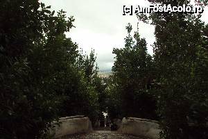 [P10] Scara cu balustrade prin care curge apa.  » foto by ania
 - 
<span class="allrVoted glyphicon glyphicon-heart hidden" id="av508382"></span>
<a class="m-l-10 hidden" id="sv508382" onclick="voting_Foto_DelVot(,508382,2240)" role="button">șterge vot <span class="glyphicon glyphicon-remove"></span></a>
<a id="v9508382" class=" c-red"  onclick="voting_Foto_SetVot(508382)" role="button"><span class="glyphicon glyphicon-heart-empty"></span> <b>LIKE</b> = Votează poza</a> <img class="hidden"  id="f508382W9" src="/imagini/loader.gif" border="0" /><span class="AjErrMes hidden" id="e508382ErM"></span>