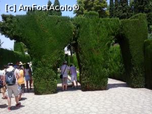 [P03] gard viu in forma de arcada » foto by elenaadina
 - 
<span class="allrVoted glyphicon glyphicon-heart hidden" id="av815604"></span>
<a class="m-l-10 hidden" id="sv815604" onclick="voting_Foto_DelVot(,815604,2240)" role="button">șterge vot <span class="glyphicon glyphicon-remove"></span></a>
<a id="v9815604" class=" c-red"  onclick="voting_Foto_SetVot(815604)" role="button"><span class="glyphicon glyphicon-heart-empty"></span> <b>LIKE</b> = Votează poza</a> <img class="hidden"  id="f815604W9" src="/imagini/loader.gif" border="0" /><span class="AjErrMes hidden" id="e815604ErM"></span>