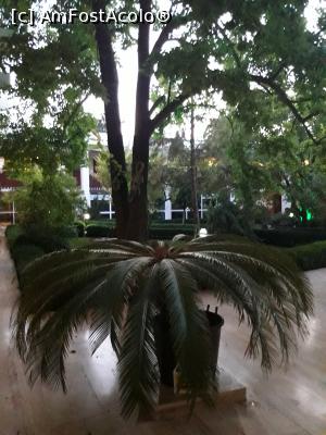 [P02] Umbra oferită de vegetatie in curtea interioară » foto by iulia_ana
 - 
<span class="allrVoted glyphicon glyphicon-heart hidden" id="av987365"></span>
<a class="m-l-10 hidden" id="sv987365" onclick="voting_Foto_DelVot(,987365,2246)" role="button">șterge vot <span class="glyphicon glyphicon-remove"></span></a>
<a id="v9987365" class=" c-red"  onclick="voting_Foto_SetVot(987365)" role="button"><span class="glyphicon glyphicon-heart-empty"></span> <b>LIKE</b> = Votează poza</a> <img class="hidden"  id="f987365W9" src="/imagini/loader.gif" border="0" /><span class="AjErrMes hidden" id="e987365ErM"></span>