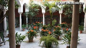 [P19] Patio maur.  » foto by dr.razvan
 - 
<span class="allrVoted glyphicon glyphicon-heart hidden" id="av685578"></span>
<a class="m-l-10 hidden" id="sv685578" onclick="voting_Foto_DelVot(,685578,2251)" role="button">șterge vot <span class="glyphicon glyphicon-remove"></span></a>
<a id="v9685578" class=" c-red"  onclick="voting_Foto_SetVot(685578)" role="button"><span class="glyphicon glyphicon-heart-empty"></span> <b>LIKE</b> = Votează poza</a> <img class="hidden"  id="f685578W9" src="/imagini/loader.gif" border="0" /><span class="AjErrMes hidden" id="e685578ErM"></span>