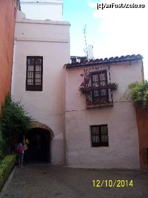 [P19] Coltisoare din Sevilla...  » foto by alinaro
 - 
<span class="allrVoted glyphicon glyphicon-heart hidden" id="av571856"></span>
<a class="m-l-10 hidden" id="sv571856" onclick="voting_Foto_DelVot(,571856,2251)" role="button">șterge vot <span class="glyphicon glyphicon-remove"></span></a>
<a id="v9571856" class=" c-red"  onclick="voting_Foto_SetVot(571856)" role="button"><span class="glyphicon glyphicon-heart-empty"></span> <b>LIKE</b> = Votează poza</a> <img class="hidden"  id="f571856W9" src="/imagini/loader.gif" border="0" /><span class="AjErrMes hidden" id="e571856ErM"></span>