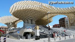 [P11] Ciupercile ziua, văzute de jos » foto by iuliaen
 - 
<span class="allrVoted glyphicon glyphicon-heart hidden" id="av551419"></span>
<a class="m-l-10 hidden" id="sv551419" onclick="voting_Foto_DelVot(,551419,2251)" role="button">șterge vot <span class="glyphicon glyphicon-remove"></span></a>
<a id="v9551419" class=" c-red"  onclick="voting_Foto_SetVot(551419)" role="button"><span class="glyphicon glyphicon-heart-empty"></span> <b>LIKE</b> = Votează poza</a> <img class="hidden"  id="f551419W9" src="/imagini/loader.gif" border="0" /><span class="AjErrMes hidden" id="e551419ErM"></span>