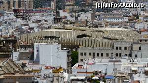 [P12] Ciupercile văzute din La Giralda » foto by iuliaen
 - 
<span class="allrVoted glyphicon glyphicon-heart hidden" id="av551422"></span>
<a class="m-l-10 hidden" id="sv551422" onclick="voting_Foto_DelVot(,551422,2251)" role="button">șterge vot <span class="glyphicon glyphicon-remove"></span></a>
<a id="v9551422" class=" c-red"  onclick="voting_Foto_SetVot(551422)" role="button"><span class="glyphicon glyphicon-heart-empty"></span> <b>LIKE</b> = Votează poza</a> <img class="hidden"  id="f551422W9" src="/imagini/loader.gif" border="0" /><span class="AjErrMes hidden" id="e551422ErM"></span>