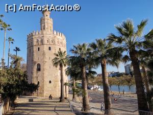[P10] Torre del Oro (Turnul de Aur).  » foto by Aurici
 - 
<span class="allrVoted glyphicon glyphicon-heart hidden" id="av1093150"></span>
<a class="m-l-10 hidden" id="sv1093150" onclick="voting_Foto_DelVot(,1093150,2251)" role="button">șterge vot <span class="glyphicon glyphicon-remove"></span></a>
<a id="v91093150" class=" c-red"  onclick="voting_Foto_SetVot(1093150)" role="button"><span class="glyphicon glyphicon-heart-empty"></span> <b>LIKE</b> = Votează poza</a> <img class="hidden"  id="f1093150W9" src="/imagini/loader.gif" border="0" /><span class="AjErrMes hidden" id="e1093150ErM"></span>