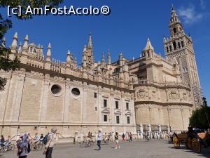 [P17] Catedrala, urnul Giralda și Piața Triumfului (Plazza del Triunfo),  » foto by Aurici
 - 
<span class="allrVoted glyphicon glyphicon-heart hidden" id="av1093159"></span>
<a class="m-l-10 hidden" id="sv1093159" onclick="voting_Foto_DelVot(,1093159,2251)" role="button">șterge vot <span class="glyphicon glyphicon-remove"></span></a>
<a id="v91093159" class=" c-red"  onclick="voting_Foto_SetVot(1093159)" role="button"><span class="glyphicon glyphicon-heart-empty"></span> <b>LIKE</b> = Votează poza</a> <img class="hidden"  id="f1093159W9" src="/imagini/loader.gif" border="0" /><span class="AjErrMes hidden" id="e1093159ErM"></span>