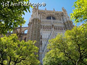 [P20] Catedrala din Sevilia, intrarea din curtea cu portocali.  » foto by Aurici
 - 
<span class="allrVoted glyphicon glyphicon-heart hidden" id="av1093164"></span>
<a class="m-l-10 hidden" id="sv1093164" onclick="voting_Foto_DelVot(,1093164,2251)" role="button">șterge vot <span class="glyphicon glyphicon-remove"></span></a>
<a id="v91093164" class=" c-red"  onclick="voting_Foto_SetVot(1093164)" role="button"><span class="glyphicon glyphicon-heart-empty"></span> <b>LIKE</b> = Votează poza</a> <img class="hidden"  id="f1093164W9" src="/imagini/loader.gif" border="0" /><span class="AjErrMes hidden" id="e1093164ErM"></span>