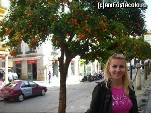 [P13] Portocali :)  » foto by Artana
 - 
<span class="allrVoted glyphicon glyphicon-heart hidden" id="av566638"></span>
<a class="m-l-10 hidden" id="sv566638" onclick="voting_Foto_DelVot(,566638,2251)" role="button">șterge vot <span class="glyphicon glyphicon-remove"></span></a>
<a id="v9566638" class=" c-red"  onclick="voting_Foto_SetVot(566638)" role="button"><span class="glyphicon glyphicon-heart-empty"></span> <b>LIKE</b> = Votează poza</a> <img class="hidden"  id="f566638W9" src="/imagini/loader.gif" border="0" /><span class="AjErrMes hidden" id="e566638ErM"></span>