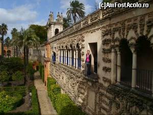 [P02] Reales Alcázares » foto by Artana
 - 
<span class="allrVoted glyphicon glyphicon-heart hidden" id="av566616"></span>
<a class="m-l-10 hidden" id="sv566616" onclick="voting_Foto_DelVot(,566616,2251)" role="button">șterge vot <span class="glyphicon glyphicon-remove"></span></a>
<a id="v9566616" class=" c-red"  onclick="voting_Foto_SetVot(566616)" role="button"><span class="glyphicon glyphicon-heart-empty"></span> <b>LIKE</b> = Votează poza</a> <img class="hidden"  id="f566616W9" src="/imagini/loader.gif" border="0" /><span class="AjErrMes hidden" id="e566616ErM"></span>