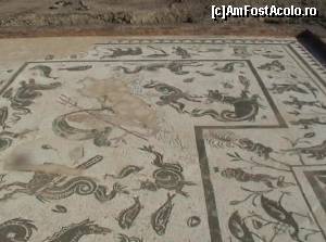 [P45] Italica: mozaic din Casa lui Neptun.  » foto by Carmen Ion
 - 
<span class="allrVoted glyphicon glyphicon-heart hidden" id="av608937"></span>
<a class="m-l-10 hidden" id="sv608937" onclick="voting_Foto_DelVot(,608937,2251)" role="button">șterge vot <span class="glyphicon glyphicon-remove"></span></a>
<a id="v9608937" class=" c-red"  onclick="voting_Foto_SetVot(608937)" role="button"><span class="glyphicon glyphicon-heart-empty"></span> <b>LIKE</b> = Votează poza</a> <img class="hidden"  id="f608937W9" src="/imagini/loader.gif" border="0" /><span class="AjErrMes hidden" id="e608937ErM"></span>