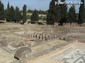 [P46] Italica: ruinele forului roman » foto by Carmen Ion
 - 
<span class="allrVoted glyphicon glyphicon-heart hidden" id="av608938"></span>
<a class="m-l-10 hidden" id="sv608938" onclick="voting_Foto_DelVot(,608938,2251)" role="button">șterge vot <span class="glyphicon glyphicon-remove"></span></a>
<a id="v9608938" class=" c-red"  onclick="voting_Foto_SetVot(608938)" role="button"><span class="glyphicon glyphicon-heart-empty"></span> <b>LIKE</b> = Votează poza</a> <img class="hidden"  id="f608938W9" src="/imagini/loader.gif" border="0" /><span class="AjErrMes hidden" id="e608938ErM"></span>