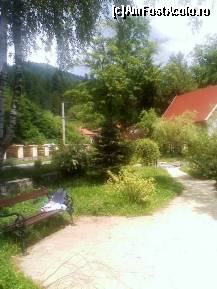 [P17] Gradina linga lacul Ciucas » foto by maria popescu*
 - 
<span class="allrVoted glyphicon glyphicon-heart hidden" id="av212142"></span>
<a class="m-l-10 hidden" id="sv212142" onclick="voting_Foto_DelVot(,212142,2271)" role="button">șterge vot <span class="glyphicon glyphicon-remove"></span></a>
<a id="v9212142" class=" c-red"  onclick="voting_Foto_SetVot(212142)" role="button"><span class="glyphicon glyphicon-heart-empty"></span> <b>LIKE</b> = Votează poza</a> <img class="hidden"  id="f212142W9" src="/imagini/loader.gif" border="0" /><span class="AjErrMes hidden" id="e212142ErM"></span>