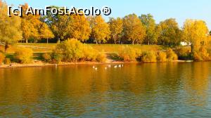 [P40] Moselle - stol de lebede » foto by Dragoș_MD
 - 
<span class="allrVoted glyphicon glyphicon-heart hidden" id="av1024272"></span>
<a class="m-l-10 hidden" id="sv1024272" onclick="voting_Foto_DelVot(,1024272,2302)" role="button">șterge vot <span class="glyphicon glyphicon-remove"></span></a>
<a id="v91024272" class=" c-red"  onclick="voting_Foto_SetVot(1024272)" role="button"><span class="glyphicon glyphicon-heart-empty"></span> <b>LIKE</b> = Votează poza</a> <img class="hidden"  id="f1024272W9" src="/imagini/loader.gif" border="0" /><span class="AjErrMes hidden" id="e1024272ErM"></span>