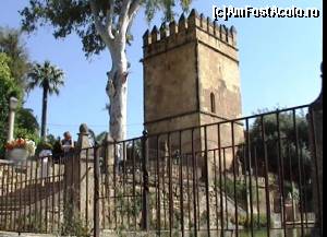 [P19] Intrarea la Alcazar de los Reyes Cristianos - Torre del Leon.  » foto by Carmen Ion
 - 
<span class="allrVoted glyphicon glyphicon-heart hidden" id="av608699"></span>
<a class="m-l-10 hidden" id="sv608699" onclick="voting_Foto_DelVot(,608699,2304)" role="button">șterge vot <span class="glyphicon glyphicon-remove"></span></a>
<a id="v9608699" class=" c-red"  onclick="voting_Foto_SetVot(608699)" role="button"><span class="glyphicon glyphicon-heart-empty"></span> <b>LIKE</b> = Votează poza</a> <img class="hidden"  id="f608699W9" src="/imagini/loader.gif" border="0" /><span class="AjErrMes hidden" id="e608699ErM"></span>
