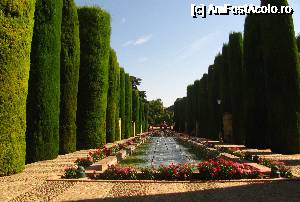 [P11] Alcázar de los Reyes Cristianos » foto by Radu Tudoran
 - 
<span class="allrVoted glyphicon glyphicon-heart hidden" id="av693658"></span>
<a class="m-l-10 hidden" id="sv693658" onclick="voting_Foto_DelVot(,693658,2304)" role="button">șterge vot <span class="glyphicon glyphicon-remove"></span></a>
<a id="v9693658" class=" c-red"  onclick="voting_Foto_SetVot(693658)" role="button"><span class="glyphicon glyphicon-heart-empty"></span> <b>LIKE</b> = Votează poza</a> <img class="hidden"  id="f693658W9" src="/imagini/loader.gif" border="0" /><span class="AjErrMes hidden" id="e693658ErM"></span>
