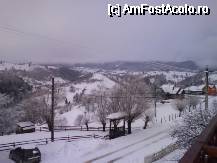 [P02]  -- <small>// FĂRĂ DESCRIERE</small> » foto by Irina Flegheru
 - 
<span class="allrVoted glyphicon glyphicon-heart hidden" id="av48714"></span>
<a class="m-l-10 hidden" id="sv48714" onclick="voting_Foto_DelVot(,48714,2305)" role="button">șterge vot <span class="glyphicon glyphicon-remove"></span></a>
<a id="v948714" class=" c-red"  onclick="voting_Foto_SetVot(48714)" role="button"><span class="glyphicon glyphicon-heart-empty"></span> <b>LIKE</b> = Votează poza</a> <img class="hidden"  id="f48714W9" src="/imagini/loader.gif" border="0" /><span class="AjErrMes hidden" id="e48714ErM"></span>