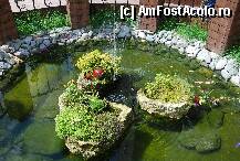 [P03] Mica fantana arteziana cu pesti » foto by trompy
 - 
<span class="allrVoted glyphicon glyphicon-heart hidden" id="av239502"></span>
<a class="m-l-10 hidden" id="sv239502" onclick="voting_Foto_DelVot(,239502,2309)" role="button">șterge vot <span class="glyphicon glyphicon-remove"></span></a>
<a id="v9239502" class=" c-red"  onclick="voting_Foto_SetVot(239502)" role="button"><span class="glyphicon glyphicon-heart-empty"></span> <b>LIKE</b> = Votează poza</a> <img class="hidden"  id="f239502W9" src="/imagini/loader.gif" border="0" /><span class="AjErrMes hidden" id="e239502ErM"></span>