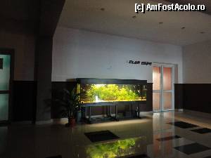 [P06] Hotel Capitol - Jupiter: holul spre clubul copiilor, imediat in dreapta de la intrarea principala » foto by ilincalif*
 - 
<span class="allrVoted glyphicon glyphicon-heart hidden" id="av369390"></span>
<a class="m-l-10 hidden" id="sv369390" onclick="voting_Foto_DelVot(,369390,2316)" role="button">șterge vot <span class="glyphicon glyphicon-remove"></span></a>
<a id="v9369390" class=" c-red"  onclick="voting_Foto_SetVot(369390)" role="button"><span class="glyphicon glyphicon-heart-empty"></span> <b>LIKE</b> = Votează poza</a> <img class="hidden"  id="f369390W9" src="/imagini/loader.gif" border="0" /><span class="AjErrMes hidden" id="e369390ErM"></span>