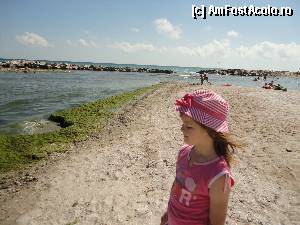 [P09] 'Plaja' din dreptul hotelului Capitol, cu algele aferente... au fost mult mai multe, dar in fiecare seara erau strinse cu utilajele » foto by ilincalif*
 - 
<span class="allrVoted glyphicon glyphicon-heart hidden" id="av369403"></span>
<a class="m-l-10 hidden" id="sv369403" onclick="voting_Foto_DelVot(,369403,2316)" role="button">șterge vot <span class="glyphicon glyphicon-remove"></span></a>
<a id="v9369403" class=" c-red"  onclick="voting_Foto_SetVot(369403)" role="button"><span class="glyphicon glyphicon-heart-empty"></span> <b>LIKE</b> = Votează poza</a> <img class="hidden"  id="f369403W9" src="/imagini/loader.gif" border="0" /><span class="AjErrMes hidden" id="e369403ErM"></span>