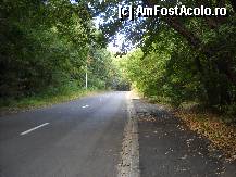 [P18] padurea statiunii » foto by inutiu
 - 
<span class="allrVoted glyphicon glyphicon-heart hidden" id="av309347"></span>
<a class="m-l-10 hidden" id="sv309347" onclick="voting_Foto_DelVot(,309347,2316)" role="button">șterge vot <span class="glyphicon glyphicon-remove"></span></a>
<a id="v9309347" class=" c-red"  onclick="voting_Foto_SetVot(309347)" role="button"><span class="glyphicon glyphicon-heart-empty"></span> <b>LIKE</b> = Votează poza</a> <img class="hidden"  id="f309347W9" src="/imagini/loader.gif" border="0" /><span class="AjErrMes hidden" id="e309347ErM"></span>