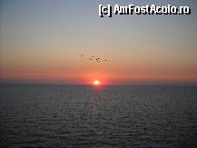 [P23] rasaritul » foto by inutiu
 - 
<span class="allrVoted glyphicon glyphicon-heart hidden" id="av309353"></span>
<a class="m-l-10 hidden" id="sv309353" onclick="voting_Foto_DelVot(,309353,2316)" role="button">șterge vot <span class="glyphicon glyphicon-remove"></span></a>
<a id="v9309353" class=" c-red"  onclick="voting_Foto_SetVot(309353)" role="button"><span class="glyphicon glyphicon-heart-empty"></span> <b>LIKE</b> = Votează poza</a> <img class="hidden"  id="f309353W9" src="/imagini/loader.gif" border="0" /><span class="AjErrMes hidden" id="e309353ErM"></span>