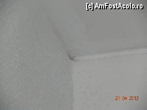 [P04] zugraveala de mare exceptie » foto by ionyc
 - 
<span class="allrVoted glyphicon glyphicon-heart hidden" id="av359039"></span>
<a class="m-l-10 hidden" id="sv359039" onclick="voting_Foto_DelVot(,359039,2316)" role="button">șterge vot <span class="glyphicon glyphicon-remove"></span></a>
<a id="v9359039" class=" c-red"  onclick="voting_Foto_SetVot(359039)" role="button"><span class="glyphicon glyphicon-heart-empty"></span> <b>LIKE</b> = Votează poza</a> <img class="hidden"  id="f359039W9" src="/imagini/loader.gif" border="0" /><span class="AjErrMes hidden" id="e359039ErM"></span>