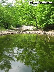 [P02] Lacul Verde » foto by rsimona
 - 
<span class="allrVoted glyphicon glyphicon-heart hidden" id="av209113"></span>
<a class="m-l-10 hidden" id="sv209113" onclick="voting_Foto_DelVot(,209113,2341)" role="button">șterge vot <span class="glyphicon glyphicon-remove"></span></a>
<a id="v9209113" class=" c-red"  onclick="voting_Foto_SetVot(209113)" role="button"><span class="glyphicon glyphicon-heart-empty"></span> <b>LIKE</b> = Votează poza</a> <img class="hidden"  id="f209113W9" src="/imagini/loader.gif" border="0" /><span class="AjErrMes hidden" id="e209113ErM"></span>