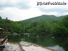 [P03] Strandul Lacul Ursu » foto by rsimona
 - 
<span class="allrVoted glyphicon glyphicon-heart hidden" id="av209114"></span>
<a class="m-l-10 hidden" id="sv209114" onclick="voting_Foto_DelVot(,209114,2341)" role="button">șterge vot <span class="glyphicon glyphicon-remove"></span></a>
<a id="v9209114" class=" c-red"  onclick="voting_Foto_SetVot(209114)" role="button"><span class="glyphicon glyphicon-heart-empty"></span> <b>LIKE</b> = Votează poza</a> <img class="hidden"  id="f209114W9" src="/imagini/loader.gif" border="0" /><span class="AjErrMes hidden" id="e209114ErM"></span>