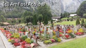 [P02] Cimitirul din lauterbrunnen » foto by scoty
 - 
<span class="allrVoted glyphicon glyphicon-heart hidden" id="av933365"></span>
<a class="m-l-10 hidden" id="sv933365" onclick="voting_Foto_DelVot(,933365,2363)" role="button">șterge vot <span class="glyphicon glyphicon-remove"></span></a>
<a id="v9933365" class=" c-red"  onclick="voting_Foto_SetVot(933365)" role="button"><span class="glyphicon glyphicon-heart-empty"></span> <b>LIKE</b> = Votează poza</a> <img class="hidden"  id="f933365W9" src="/imagini/loader.gif" border="0" /><span class="AjErrMes hidden" id="e933365ErM"></span>