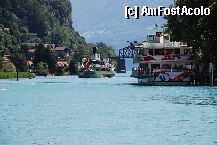 [P8x] lacul brienz in port in interlaken » foto by mariana
 - 
<span class="allrVoted glyphicon glyphicon-heart hidden" id="av7358"></span>
<a class="m-l-10 hidden" id="sv7358" onclick="voting_Foto_DelVot(,7358,2385)" role="button">șterge vot <span class="glyphicon glyphicon-remove"></span></a>
<a id="v97358" class=" c-red"  onclick="voting_Foto_SetVot(7358)" role="button"><span class="glyphicon glyphicon-heart-empty"></span> <b>LIKE</b> = Votează poza</a> <img class="hidden"  id="f7358W9" src="/imagini/loader.gif" border="0" /><span class="AjErrMes hidden" id="e7358ErM"></span>