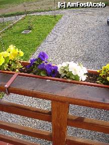 [P04] Florile de pe terasa camerei şi parcarea din faţa vilei - Pensiunea Horizont, Odorheiu Secuiesc » foto by krondia*
 - 
<span class="allrVoted glyphicon glyphicon-heart hidden" id="av203726"></span>
<a class="m-l-10 hidden" id="sv203726" onclick="voting_Foto_DelVot(,203726,2402)" role="button">șterge vot <span class="glyphicon glyphicon-remove"></span></a>
<a id="v9203726" class=" c-red"  onclick="voting_Foto_SetVot(203726)" role="button"><span class="glyphicon glyphicon-heart-empty"></span> <b>LIKE</b> = Votează poza</a> <img class="hidden"  id="f203726W9" src="/imagini/loader.gif" border="0" /><span class="AjErrMes hidden" id="e203726ErM"></span>