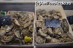 [P05] specialitati... preferatele mele :)  » foto by Artana
 - 
<span class="allrVoted glyphicon glyphicon-heart hidden" id="av681922"></span>
<a class="m-l-10 hidden" id="sv681922" onclick="voting_Foto_DelVot(,681922,2442)" role="button">șterge vot <span class="glyphicon glyphicon-remove"></span></a>
<a id="v9681922" class=" c-red"  onclick="voting_Foto_SetVot(681922)" role="button"><span class="glyphicon glyphicon-heart-empty"></span> <b>LIKE</b> = Votează poza</a> <img class="hidden"  id="f681922W9" src="/imagini/loader.gif" border="0" /><span class="AjErrMes hidden" id="e681922ErM"></span>