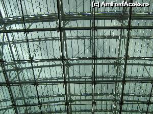 [P20]  -- <small>// FĂRĂ DESCRIERE</small> » foto by cristina47*
 - 
<span class="allrVoted glyphicon glyphicon-heart hidden" id="av656548"></span>
<a class="m-l-10 hidden" id="sv656548" onclick="voting_Foto_DelVot(,656548,2442)" role="button">șterge vot <span class="glyphicon glyphicon-remove"></span></a>
<a id="v9656548" class=" c-red"  onclick="voting_Foto_SetVot(656548)" role="button"><span class="glyphicon glyphicon-heart-empty"></span> <b>LIKE</b> = Votează poza</a> <img class="hidden"  id="f656548W9" src="/imagini/loader.gif" border="0" /><span class="AjErrMes hidden" id="e656548ErM"></span>