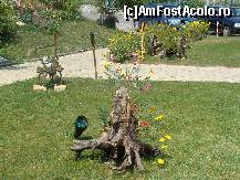 [P17] un alt aranjament din curtea complexului » foto by celeste
 - 
<span class="allrVoted glyphicon glyphicon-heart hidden" id="av165596"></span>
<a class="m-l-10 hidden" id="sv165596" onclick="voting_Foto_DelVot(,165596,2444)" role="button">șterge vot <span class="glyphicon glyphicon-remove"></span></a>
<a id="v9165596" class=" c-red"  onclick="voting_Foto_SetVot(165596)" role="button"><span class="glyphicon glyphicon-heart-empty"></span> <b>LIKE</b> = Votează poza</a> <img class="hidden"  id="f165596W9" src="/imagini/loader.gif" border="0" /><span class="AjErrMes hidden" id="e165596ErM"></span>