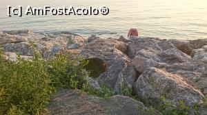 [P51] Si ei ii place faleza.  » foto by Aurici
 - 
<span class="allrVoted glyphicon glyphicon-heart hidden" id="av920072"></span>
<a class="m-l-10 hidden" id="sv920072" onclick="voting_Foto_DelVot(,920072,2468)" role="button">șterge vot <span class="glyphicon glyphicon-remove"></span></a>
<a id="v9920072" class=" c-red"  onclick="voting_Foto_SetVot(920072)" role="button"><span class="glyphicon glyphicon-heart-empty"></span> <b>LIKE</b> = Votează poza</a> <img class="hidden"  id="f920072W9" src="/imagini/loader.gif" border="0" /><span class="AjErrMes hidden" id="e920072ErM"></span>