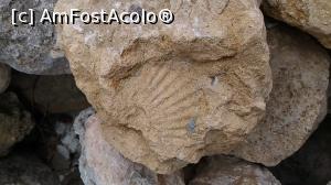 [P06] Urme de scoici 2 » foto by Radix7
 - 
<span class="allrVoted glyphicon glyphicon-heart hidden" id="av849093"></span>
<a class="m-l-10 hidden" id="sv849093" onclick="voting_Foto_DelVot(,849093,2483)" role="button">șterge vot <span class="glyphicon glyphicon-remove"></span></a>
<a id="v9849093" class=" c-red"  onclick="voting_Foto_SetVot(849093)" role="button"><span class="glyphicon glyphicon-heart-empty"></span> <b>LIKE</b> = Votează poza</a> <img class="hidden"  id="f849093W9" src="/imagini/loader.gif" border="0" /><span class="AjErrMes hidden" id="e849093ErM"></span>