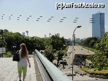 [P03] In drum spre parcul si castelul Osaka » foto by dananecula*
 - 
<span class="allrVoted glyphicon glyphicon-heart hidden" id="av270706"></span>
<a class="m-l-10 hidden" id="sv270706" onclick="voting_Foto_DelVot(,270706,2490)" role="button">șterge vot <span class="glyphicon glyphicon-remove"></span></a>
<a id="v9270706" class=" c-red"  onclick="voting_Foto_SetVot(270706)" role="button"><span class="glyphicon glyphicon-heart-empty"></span> <b>LIKE</b> = Votează poza</a> <img class="hidden"  id="f270706W9" src="/imagini/loader.gif" border="0" /><span class="AjErrMes hidden" id="e270706ErM"></span>
