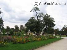[P10] Gradinile Tuileries » foto by Michi
 - 
<span class="allrVoted glyphicon glyphicon-heart hidden" id="av80709"></span>
<a class="m-l-10 hidden" id="sv80709" onclick="voting_Foto_DelVot(,80709,2491)" role="button">șterge vot <span class="glyphicon glyphicon-remove"></span></a>
<a id="v980709" class=" c-red"  onclick="voting_Foto_SetVot(80709)" role="button"><span class="glyphicon glyphicon-heart-empty"></span> <b>LIKE</b> = Votează poza</a> <img class="hidden"  id="f80709W9" src="/imagini/loader.gif" border="0" /><span class="AjErrMes hidden" id="e80709ErM"></span>
