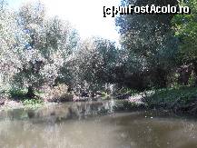 [P05]  -- <small>// FĂRĂ DESCRIERE</small> » foto by florin20
 - 
<span class="allrVoted glyphicon glyphicon-heart hidden" id="av451276"></span>
<a class="m-l-10 hidden" id="sv451276" onclick="voting_Foto_DelVot(,451276,2492)" role="button">șterge vot <span class="glyphicon glyphicon-remove"></span></a>
<a id="v9451276" class=" c-red"  onclick="voting_Foto_SetVot(451276)" role="button"><span class="glyphicon glyphicon-heart-empty"></span> <b>LIKE</b> = Votează poza</a> <img class="hidden"  id="f451276W9" src="/imagini/loader.gif" border="0" /><span class="AjErrMes hidden" id="e451276ErM"></span>