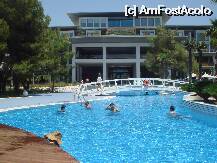 [P01]  -- <small>// FĂRĂ DESCRIERE</small> » foto by simov
 - 
<span class="allrVoted glyphicon glyphicon-heart hidden" id="av10482"></span>
<a class="m-l-10 hidden" id="sv10482" onclick="voting_Foto_DelVot(,10482,2494)" role="button">șterge vot <span class="glyphicon glyphicon-remove"></span></a>
<a id="v910482" class=" c-red"  onclick="voting_Foto_SetVot(10482)" role="button"><span class="glyphicon glyphicon-heart-empty"></span> <b>LIKE</b> = Votează poza</a> <img class="hidden"  id="f10482W9" src="/imagini/loader.gif" border="0" /><span class="AjErrMes hidden" id="e10482ErM"></span>