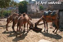 [P16] Kaya Koy - orasul parasit, Oludeniz » foto by mihaelavlad2000
 - 
<span class="allrVoted glyphicon glyphicon-heart hidden" id="av8044"></span>
<a class="m-l-10 hidden" id="sv8044" onclick="voting_Foto_DelVot(,8044,2502)" role="button">șterge vot <span class="glyphicon glyphicon-remove"></span></a>
<a id="v98044" class=" c-red"  onclick="voting_Foto_SetVot(8044)" role="button"><span class="glyphicon glyphicon-heart-empty"></span> <b>LIKE</b> = Votează poza</a> <img class="hidden"  id="f8044W9" src="/imagini/loader.gif" border="0" /><span class="AjErrMes hidden" id="e8044ErM"></span>