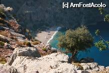 [P02]  -- <small>// FĂRĂ DESCRIERE</small> » foto by mihaelavlad2000
 - 
<span class="allrVoted glyphicon glyphicon-heart hidden" id="av7817"></span>
<a class="m-l-10 hidden" id="sv7817" onclick="voting_Foto_DelVot(,7817,2502)" role="button">șterge vot <span class="glyphicon glyphicon-remove"></span></a>
<a id="v97817" class=" c-red"  onclick="voting_Foto_SetVot(7817)" role="button"><span class="glyphicon glyphicon-heart-empty"></span> <b>LIKE</b> = Votează poza</a> <img class="hidden"  id="f7817W9" src="/imagini/loader.gif" border="0" /><span class="AjErrMes hidden" id="e7817ErM"></span>