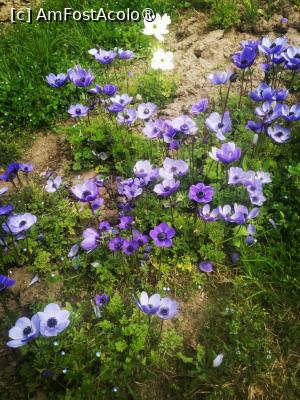 [P13]  -- <small>// FĂRĂ DESCRIERE</small> » foto by Cristian_h
 - 
<span class="allrVoted glyphicon glyphicon-heart hidden" id="av1524765"></span>
<a class="m-l-10 hidden" id="sv1524765" onclick="voting_Foto_DelVot(,1524765,2510)" role="button">șterge vot <span class="glyphicon glyphicon-remove"></span></a>
<a id="v91524765" class=" c-red"  onclick="voting_Foto_SetVot(1524765)" role="button"><span class="glyphicon glyphicon-heart-empty"></span> <b>LIKE</b> = Votează poza</a> <img class="hidden"  id="f1524765W9" src="/imagini/loader.gif" border="0" /><span class="AjErrMes hidden" id="e1524765ErM"></span>