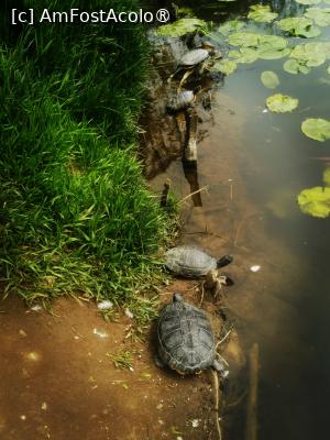 [P22]  -- <small>// FĂRĂ DESCRIERE</small> » foto by Cristian_h
 - 
<span class="allrVoted glyphicon glyphicon-heart hidden" id="av1524774"></span>
<a class="m-l-10 hidden" id="sv1524774" onclick="voting_Foto_DelVot(,1524774,2510)" role="button">șterge vot <span class="glyphicon glyphicon-remove"></span></a>
<a id="v91524774" class=" c-red"  onclick="voting_Foto_SetVot(1524774)" role="button"><span class="glyphicon glyphicon-heart-empty"></span> <b>LIKE</b> = Votează poza</a> <img class="hidden"  id="f1524774W9" src="/imagini/loader.gif" border="0" /><span class="AjErrMes hidden" id="e1524774ErM"></span>