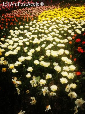 [P28]  -- <small>// FĂRĂ DESCRIERE</small> » foto by Cristian_h
 - 
<span class="allrVoted glyphicon glyphicon-heart hidden" id="av1524780"></span>
<a class="m-l-10 hidden" id="sv1524780" onclick="voting_Foto_DelVot(,1524780,2510)" role="button">șterge vot <span class="glyphicon glyphicon-remove"></span></a>
<a id="v91524780" class=" c-red"  onclick="voting_Foto_SetVot(1524780)" role="button"><span class="glyphicon glyphicon-heart-empty"></span> <b>LIKE</b> = Votează poza</a> <img class="hidden"  id="f1524780W9" src="/imagini/loader.gif" border="0" /><span class="AjErrMes hidden" id="e1524780ErM"></span>