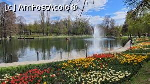 [P02] Târgul de Paște din Craiova 2025 » foto by vlado2
 - 
<span class="allrVoted glyphicon glyphicon-heart hidden" id="av1519675"></span>
<a class="m-l-10 hidden" id="sv1519675" onclick="voting_Foto_DelVot(,1519675,2510)" role="button">șterge vot <span class="glyphicon glyphicon-remove"></span></a>
<a id="v91519675" class=" c-red"  onclick="voting_Foto_SetVot(1519675)" role="button"><span class="glyphicon glyphicon-heart-empty"></span> <b>LIKE</b> = Votează poza</a> <img class="hidden"  id="f1519675W9" src="/imagini/loader.gif" border="0" /><span class="AjErrMes hidden" id="e1519675ErM"></span>