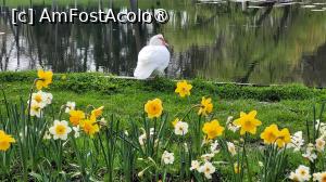 [P32] Targul de Paste Craiova 2026 » foto by vlado2
 - 
<span class="allrVoted glyphicon glyphicon-heart hidden" id="av1525936"></span>
<a class="m-l-10 hidden" id="sv1525936" onclick="voting_Foto_DelVot(,1525936,2510)" role="button">șterge vot <span class="glyphicon glyphicon-remove"></span></a>
<a id="v91525936" class=" c-red"  onclick="voting_Foto_SetVot(1525936)" role="button"><span class="glyphicon glyphicon-heart-empty"></span> <b>LIKE</b> = Votează poza</a> <img class="hidden"  id="f1525936W9" src="/imagini/loader.gif" border="0" /><span class="AjErrMes hidden" id="e1525936ErM"></span>