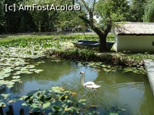 P13 [JUN-2017] Parcul Romanescu... o oază de relaxare. 