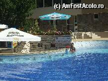 [P19] Pool bar-ul » foto by cornel_eco*
 - 
<span class="allrVoted glyphicon glyphicon-heart hidden" id="av13694"></span>
<a class="m-l-10 hidden" id="sv13694" onclick="voting_Foto_DelVot(,13694,2512)" role="button">șterge vot <span class="glyphicon glyphicon-remove"></span></a>
<a id="v913694" class=" c-red"  onclick="voting_Foto_SetVot(13694)" role="button"><span class="glyphicon glyphicon-heart-empty"></span> <b>LIKE</b> = Votează poza</a> <img class="hidden"  id="f13694W9" src="/imagini/loader.gif" border="0" /><span class="AjErrMes hidden" id="e13694ErM"></span>