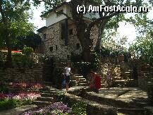 [P33] Gradina Botanica Balcik » foto by cornel_eco*
 - 
<span class="allrVoted glyphicon glyphicon-heart hidden" id="av13708"></span>
<a class="m-l-10 hidden" id="sv13708" onclick="voting_Foto_DelVot(,13708,2512)" role="button">șterge vot <span class="glyphicon glyphicon-remove"></span></a>
<a id="v913708" class=" c-red"  onclick="voting_Foto_SetVot(13708)" role="button"><span class="glyphicon glyphicon-heart-empty"></span> <b>LIKE</b> = Votează poza</a> <img class="hidden"  id="f13708W9" src="/imagini/loader.gif" border="0" /><span class="AjErrMes hidden" id="e13708ErM"></span>